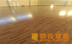 手球體育運(yùn)動(dòng)賽制有什么變遷