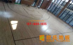 壁球場(chǎng)館有哪些類型木地板